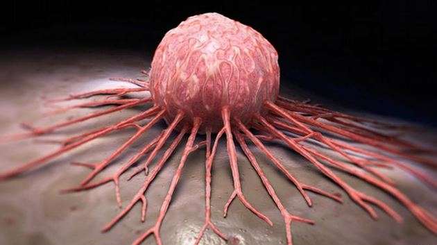 Kanser tedavisinde çığır açan hücreler Türkiye’de üretilecek