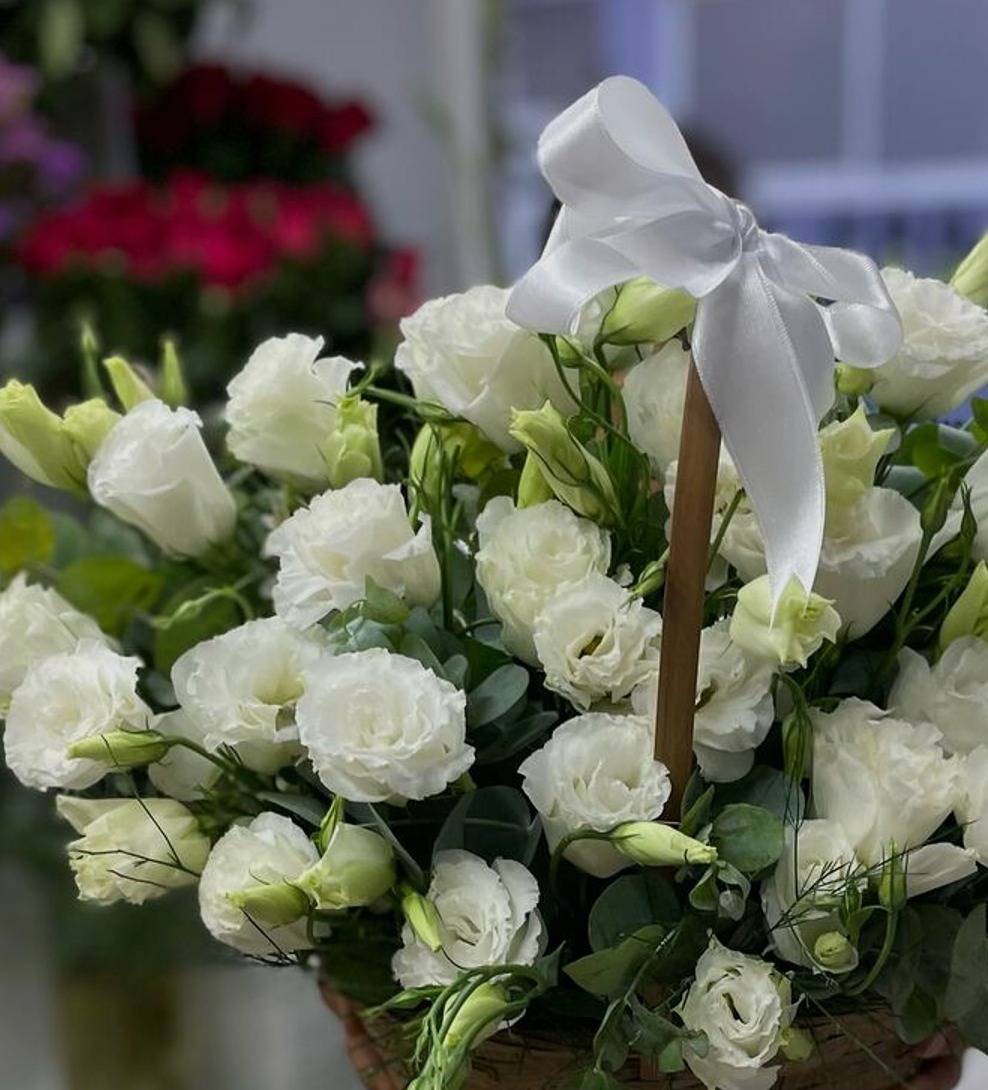 Arı Polenin Faydaları Nelerdir?